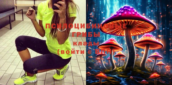 ALPHA PVP Вяземский