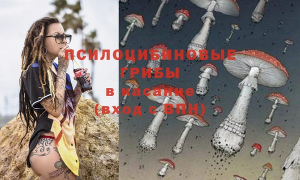 ALPHA PVP Вяземский