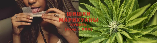кокс Тавда