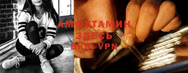 ПСИЛОЦИБИНОВЫЕ ГРИБЫ Сясьстрой